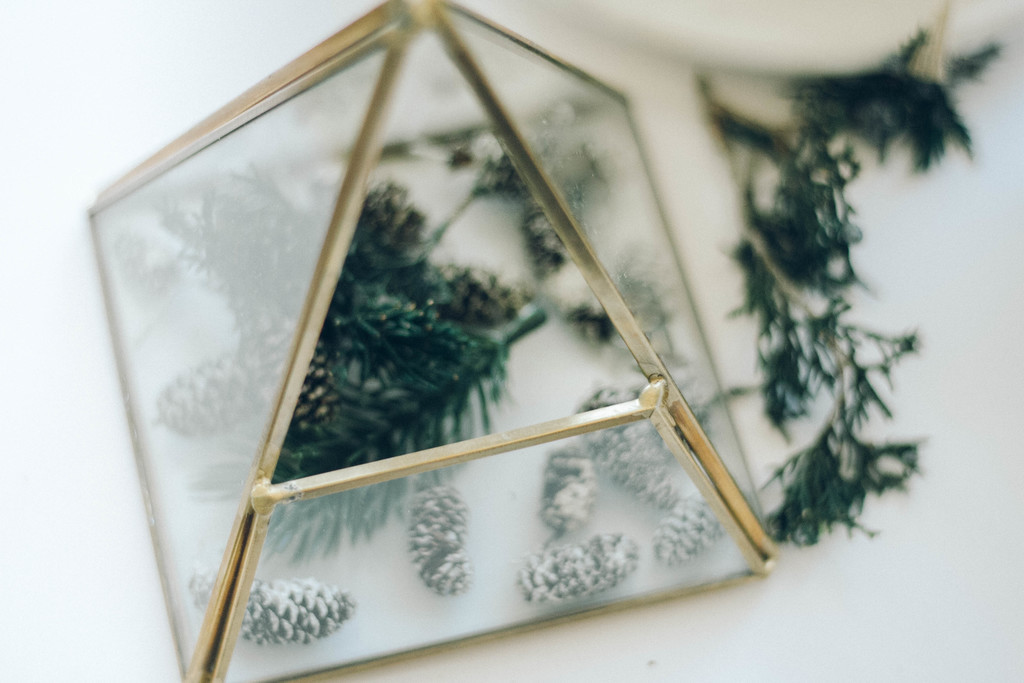 极简松树松子木头背景图片