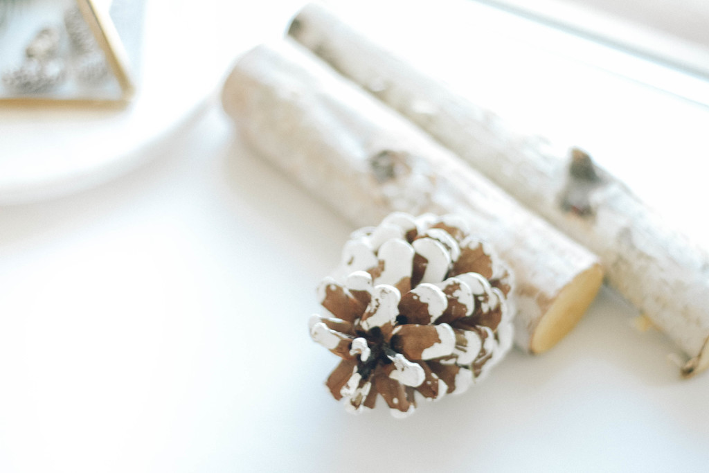 极简松树松子木头背景图片