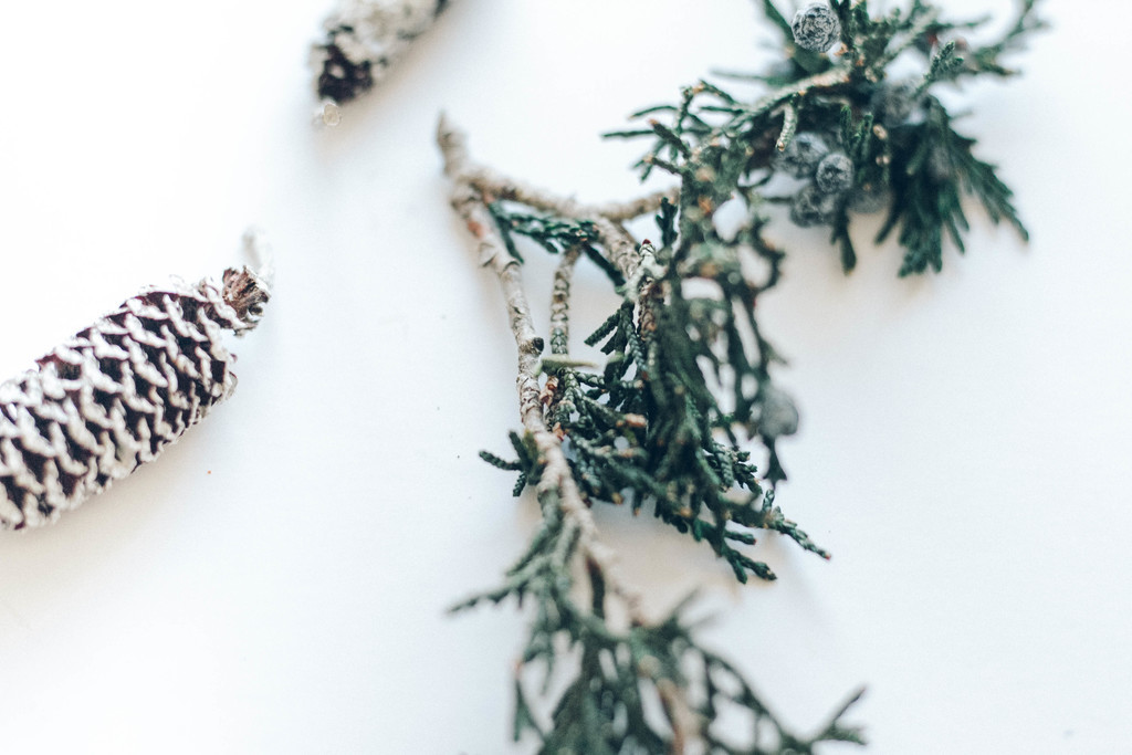 极简松树松子木头背景图片