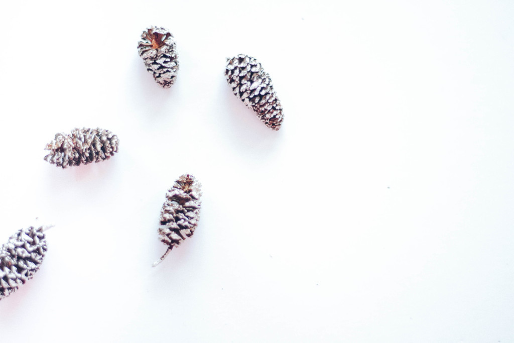 极简松树松子木头背景图片