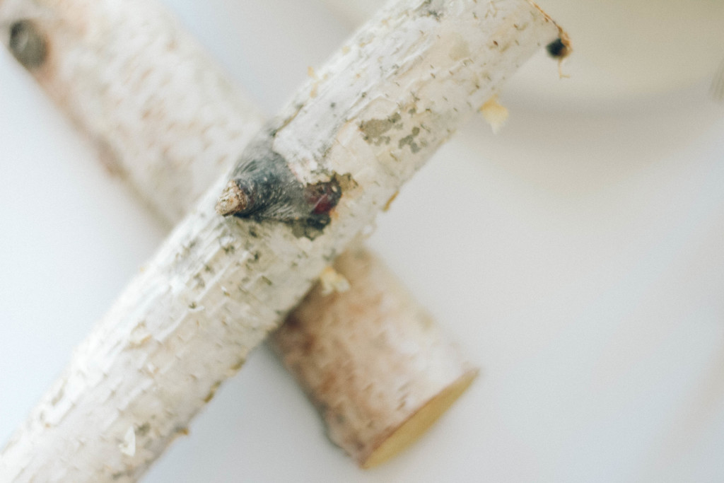 极简松树松子木头背景图片