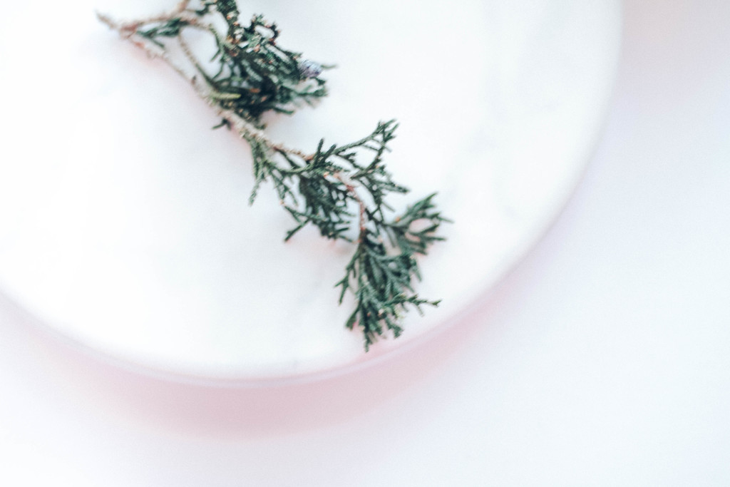 极简松树松子木头背景图片