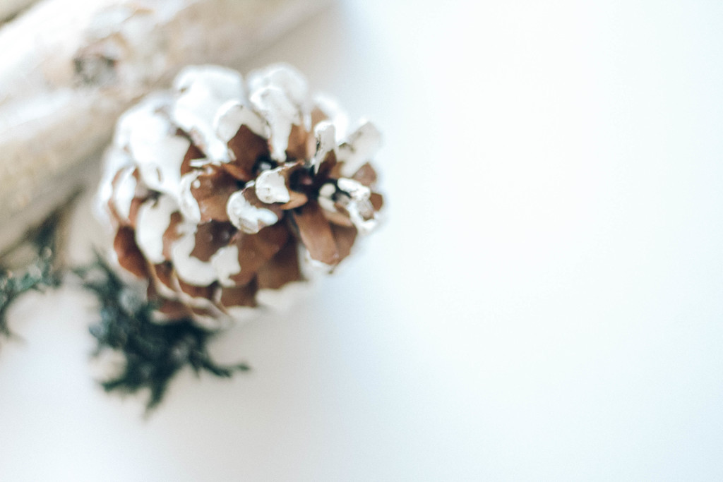 极简松树松子木头背景图片