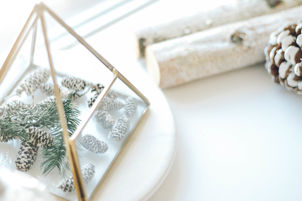 极简松树松子木头背景图片