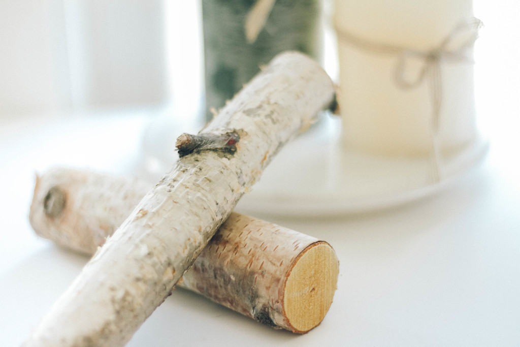 极简松树松子木头背景图片