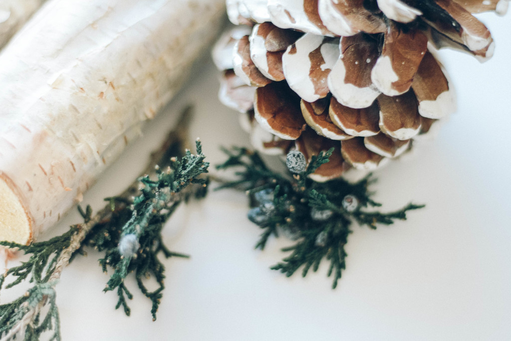 极简松树松子木头背景图片