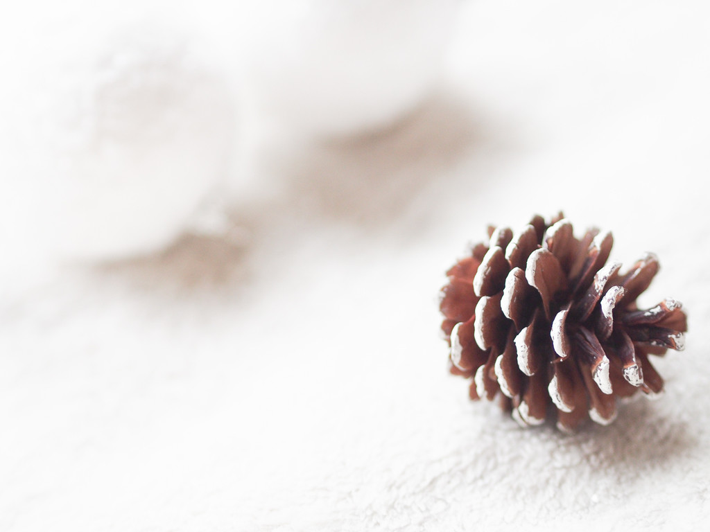 极简冬天新年圣诞节装饰背景图片