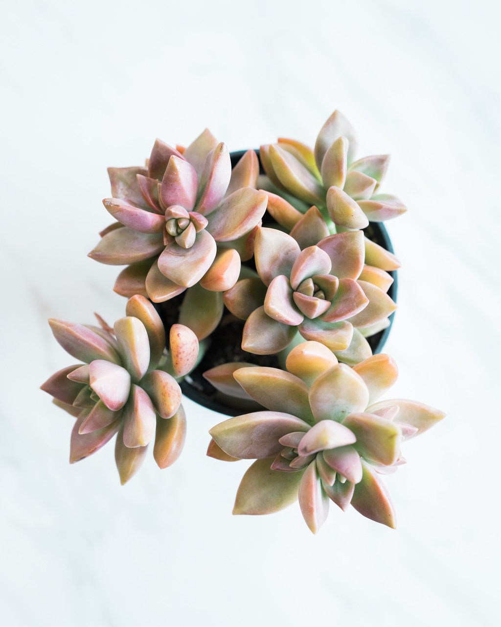 创意简约大理石纹理桌面工作台图片