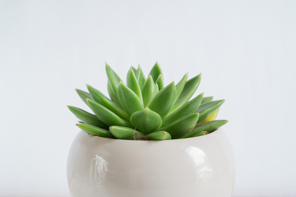 创意简约灵感图片