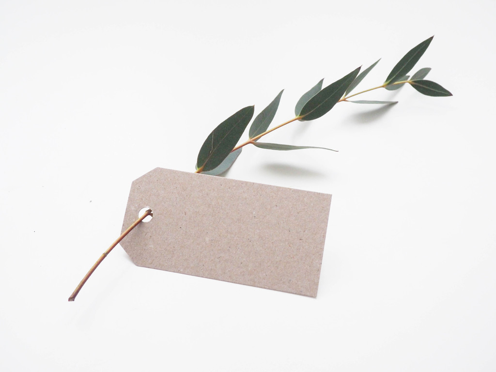 纳维亚极简树叶树枝图片