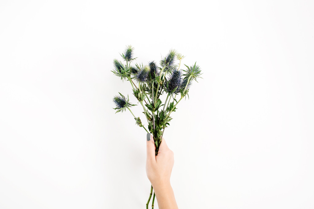 纳维亚极简主义女性装饰物品图片