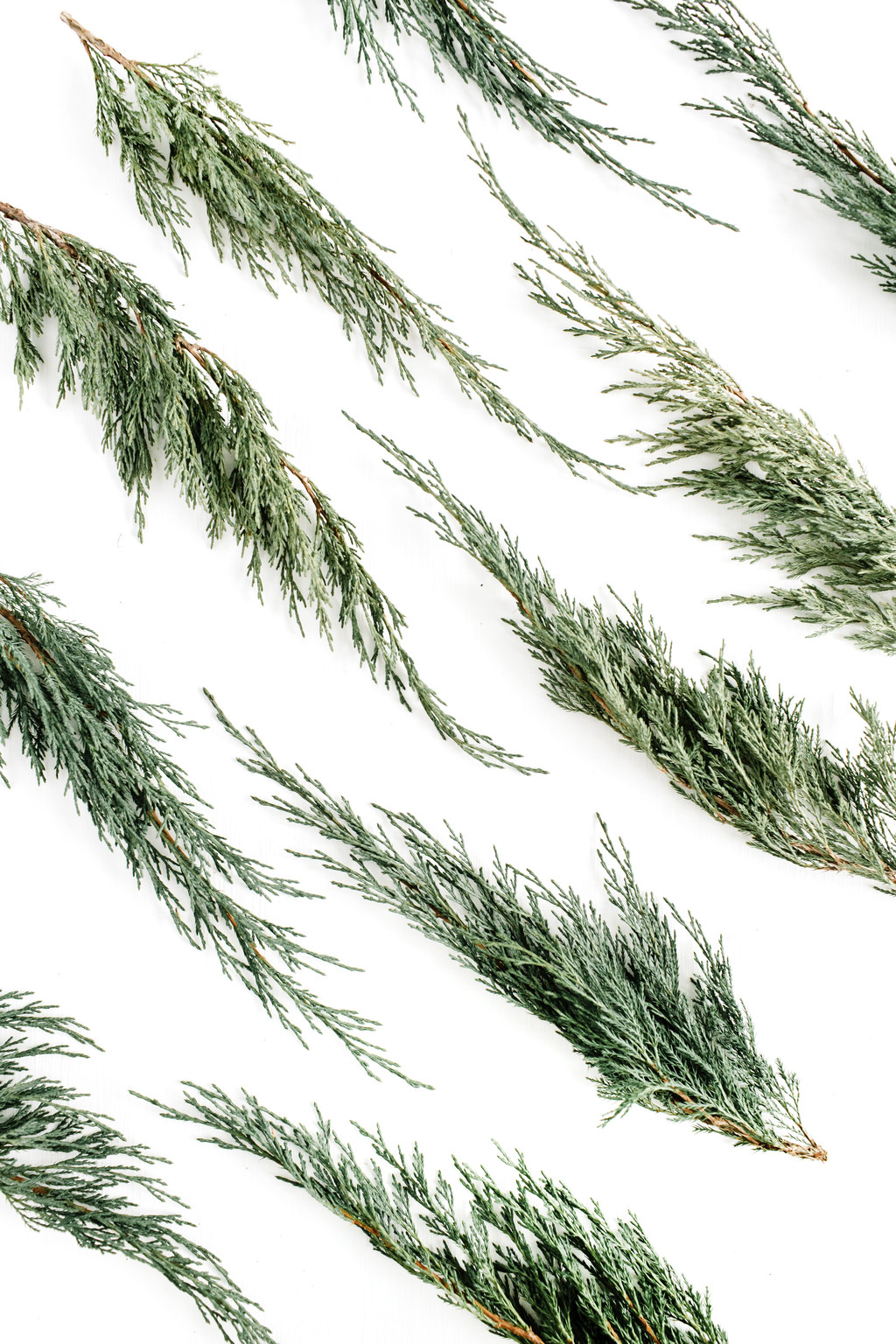 极简素雅温馨白色背景图片