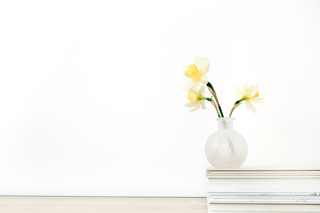 纳维亚极简主义女性装饰物品图片