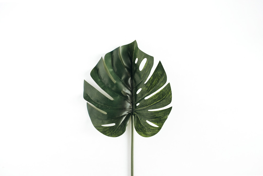 纳维亚极简主义女性装饰物品图片