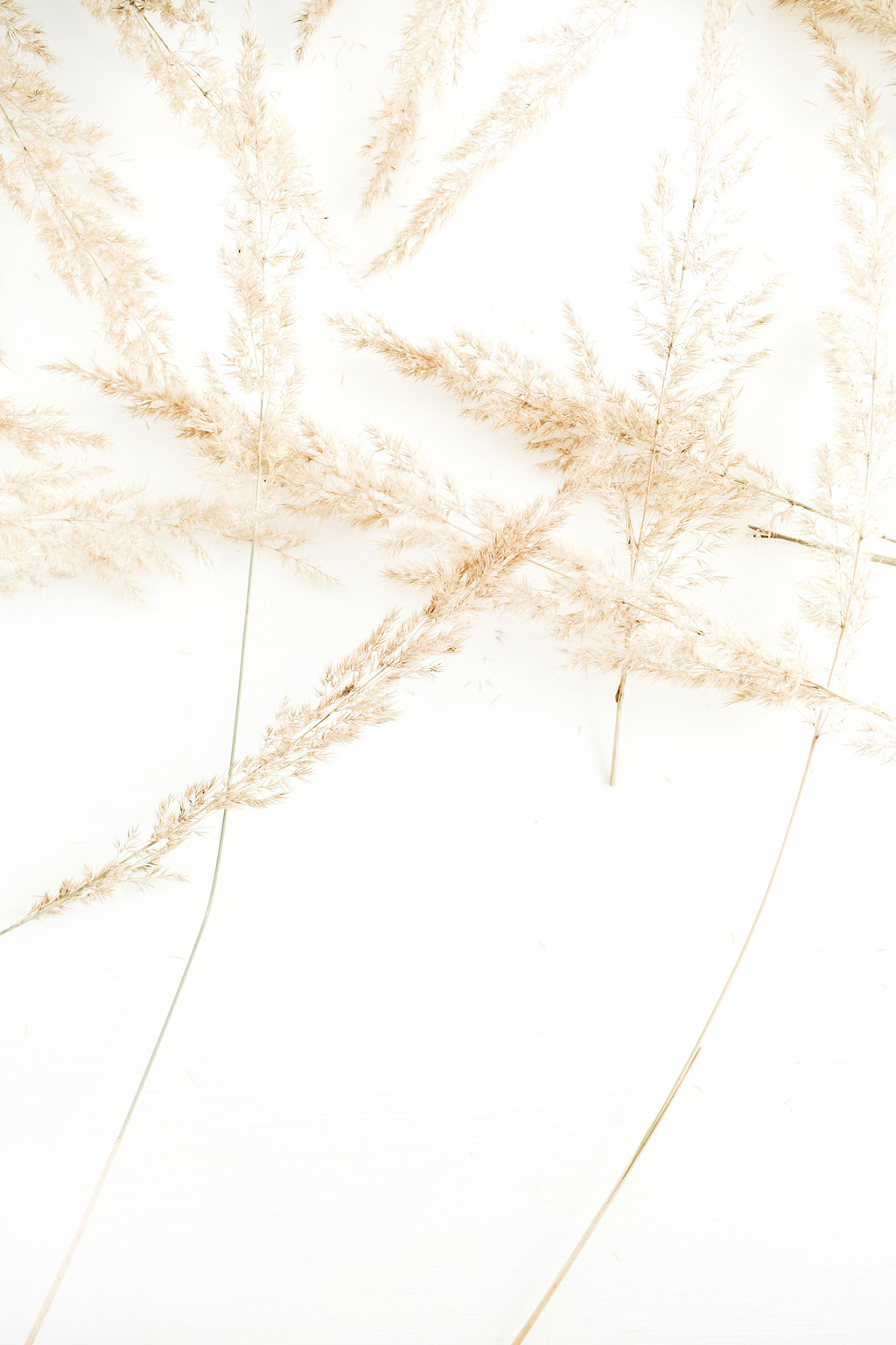 纳维亚极简主义女性装饰物品图片