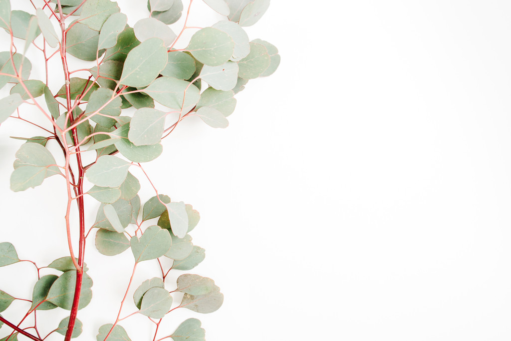 纳维亚极简主义女性装饰物品图片