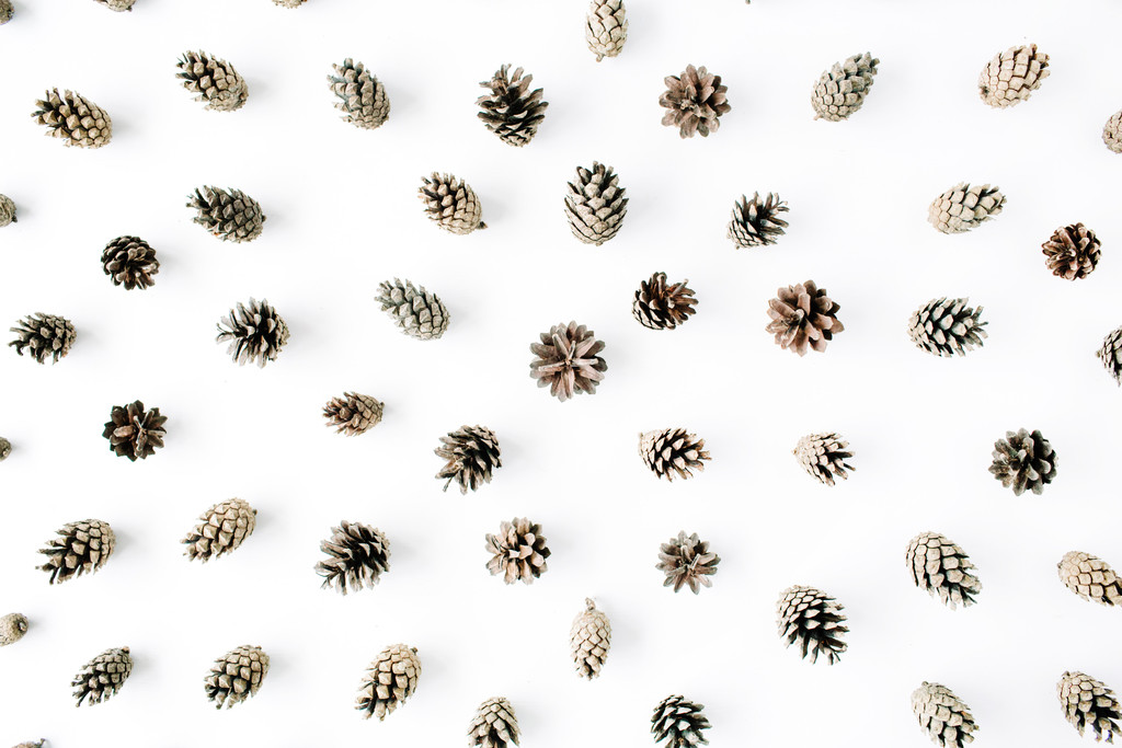 极简素雅温馨白色背景图片