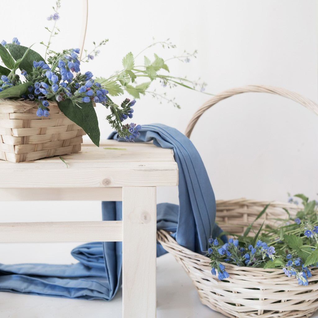 简约艺术感蓝色花卉图片