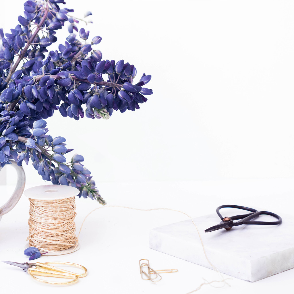 简约艺术感蓝色花卉图片