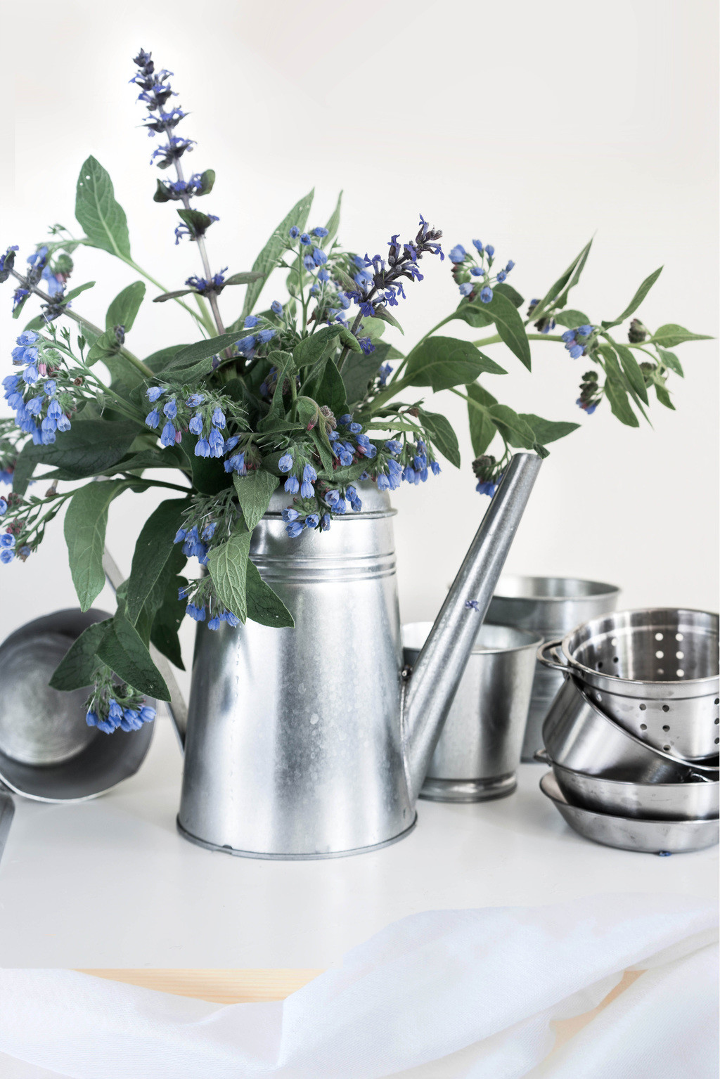 简约艺术感蓝色花卉图片