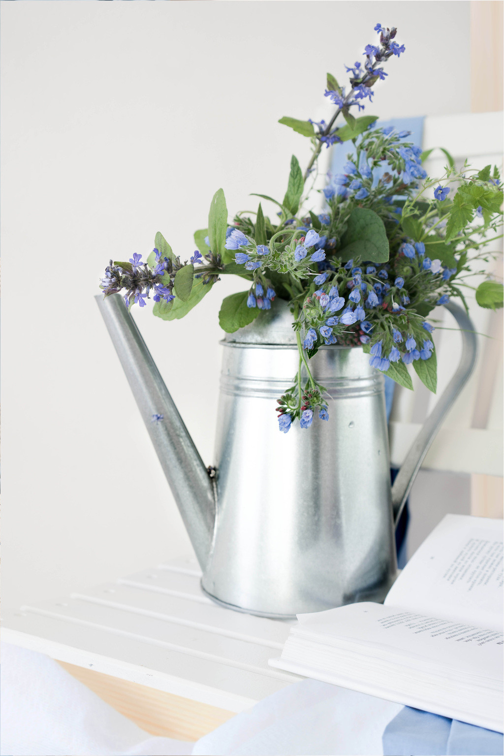 简约艺术感蓝色花卉图片