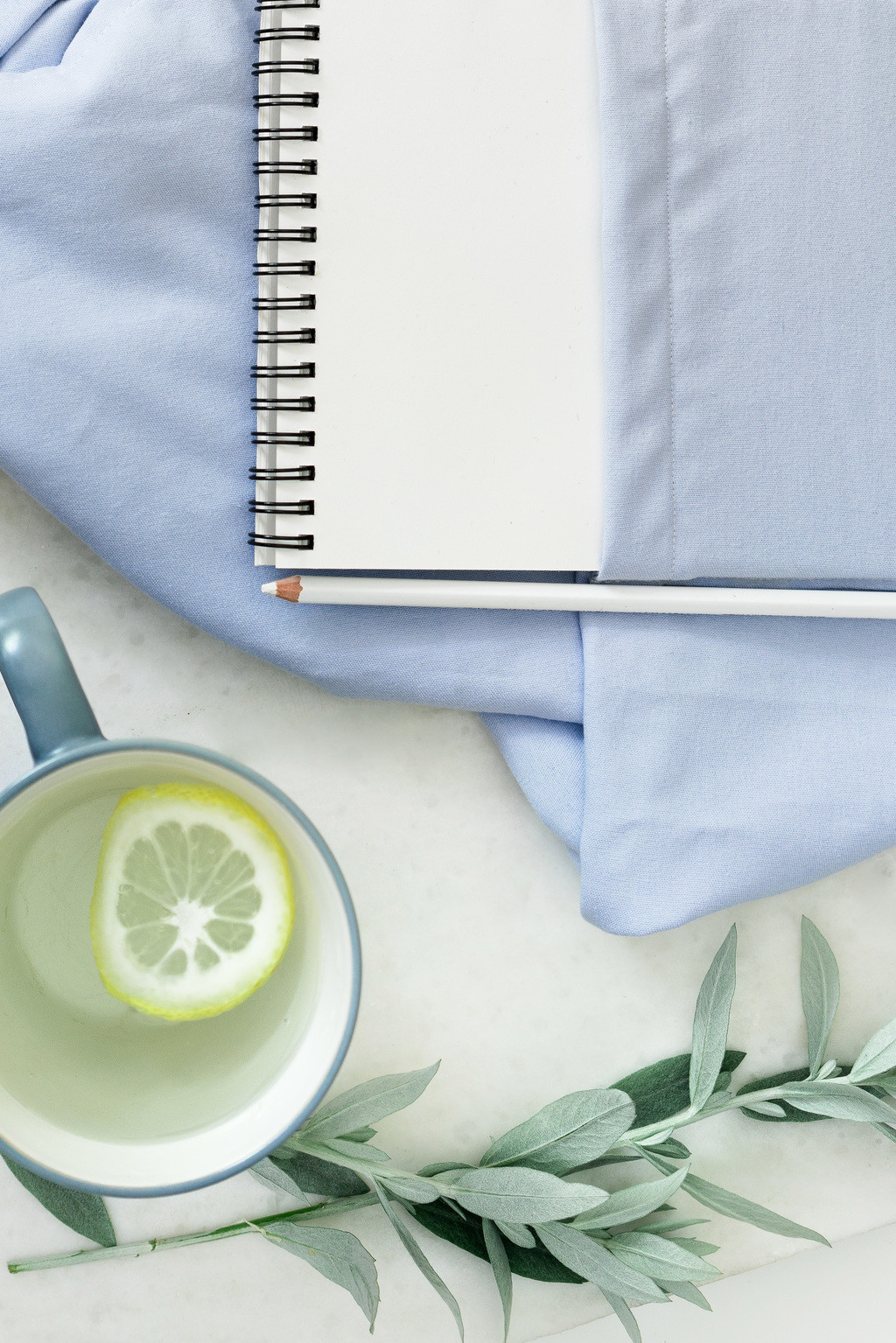 简约艺术感蓝色花卉图片