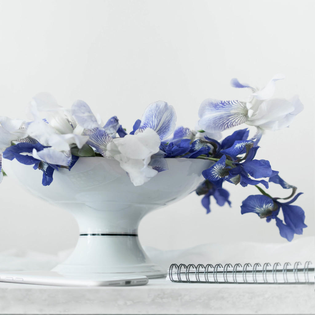 简约艺术感蓝色花卉图片