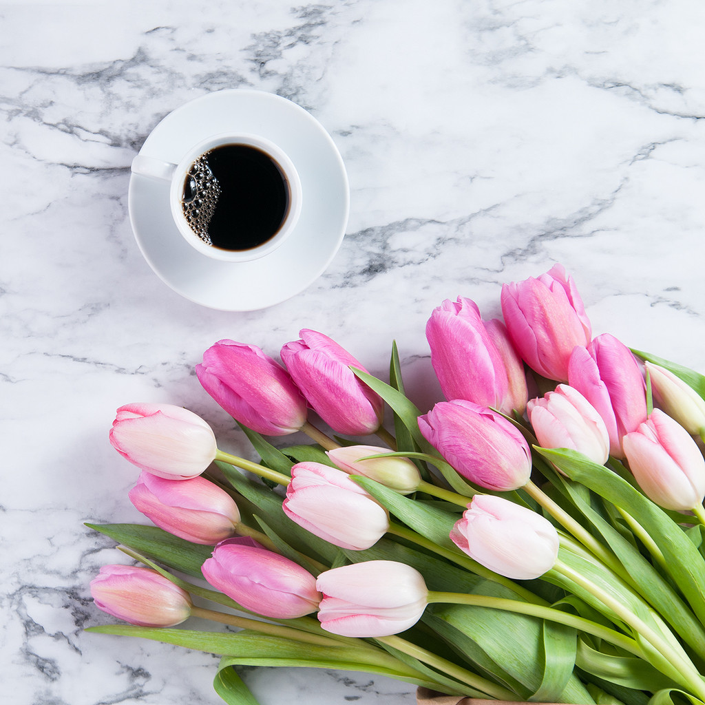 淡雅郁金香花卉女性背景图片