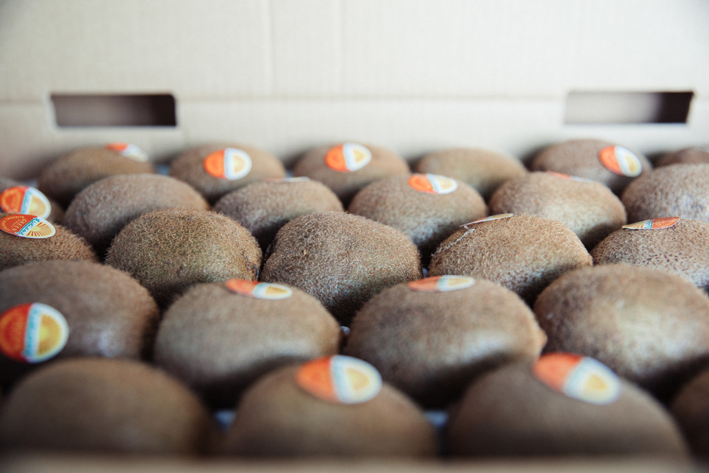 水果猕猴桃水果背景图片