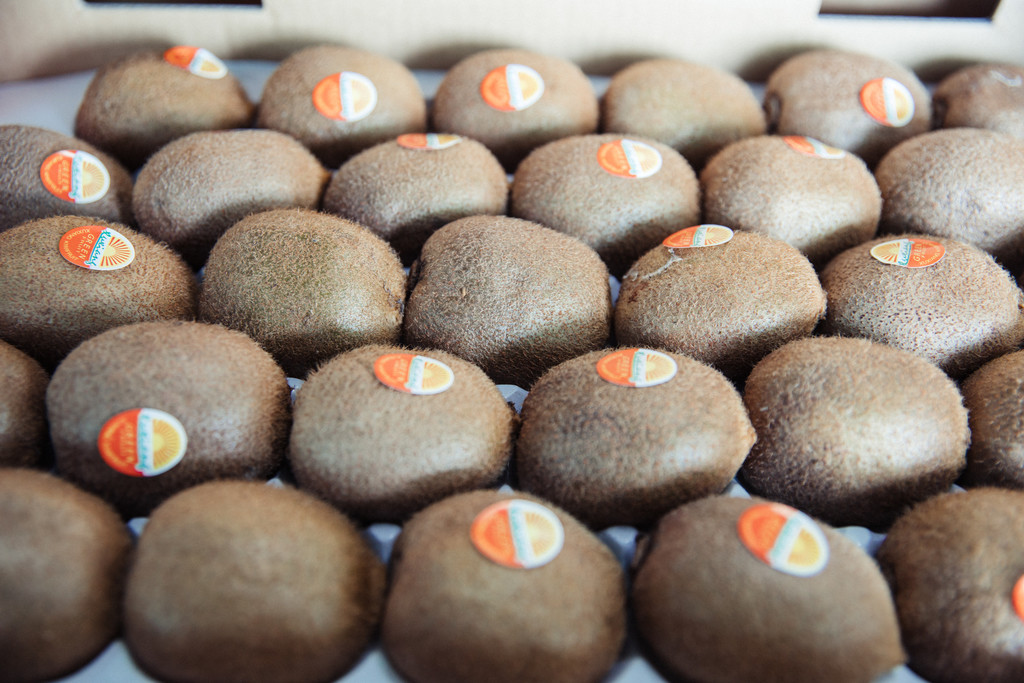 水果猕猴桃水果背景图片