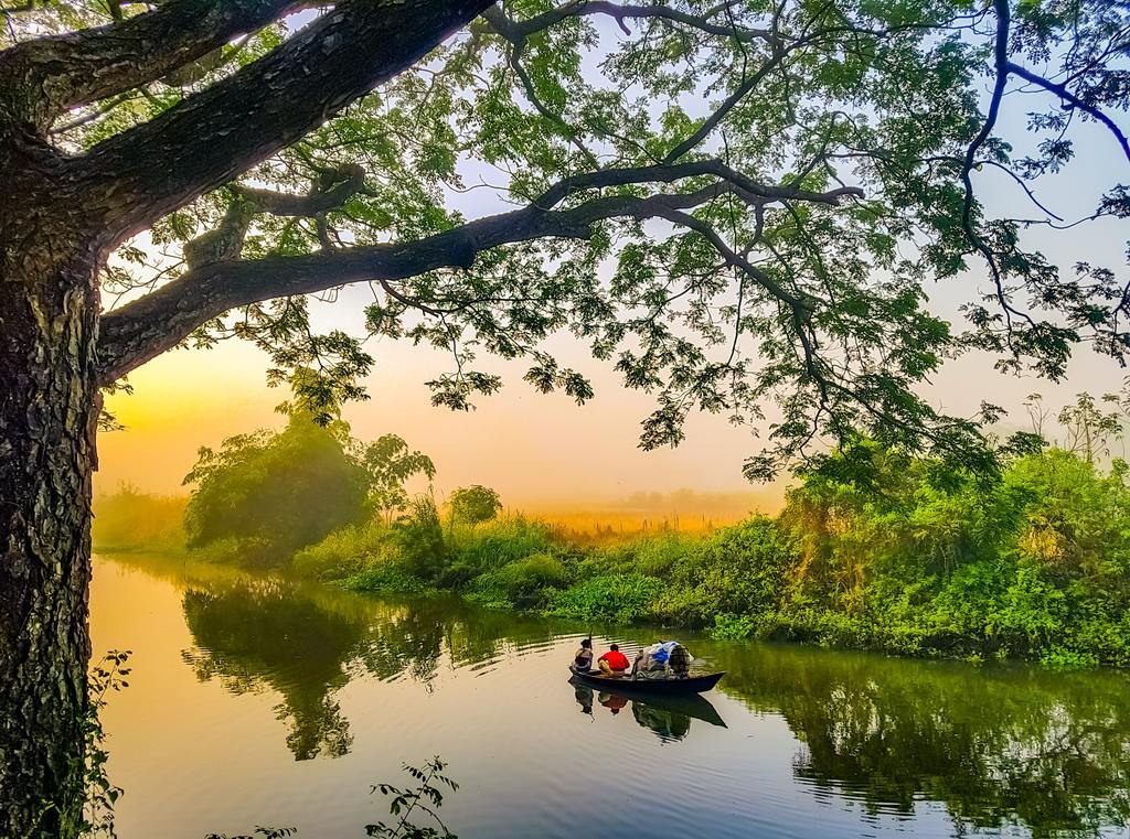 旅游风景风光植树节树木背景图片