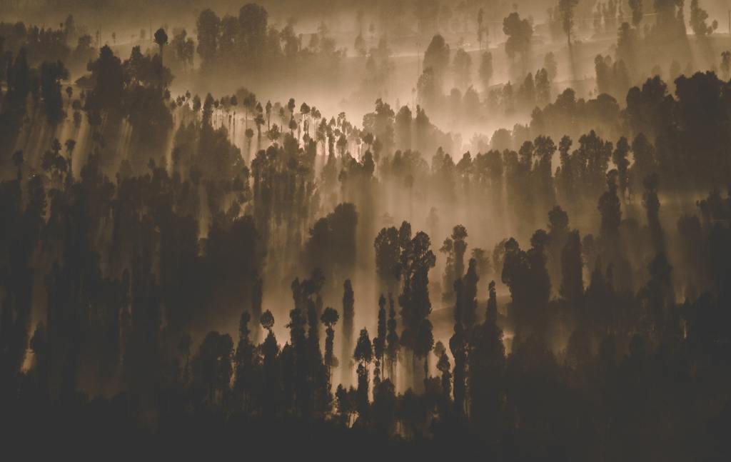 水墨纹理黑白彩色背景图片