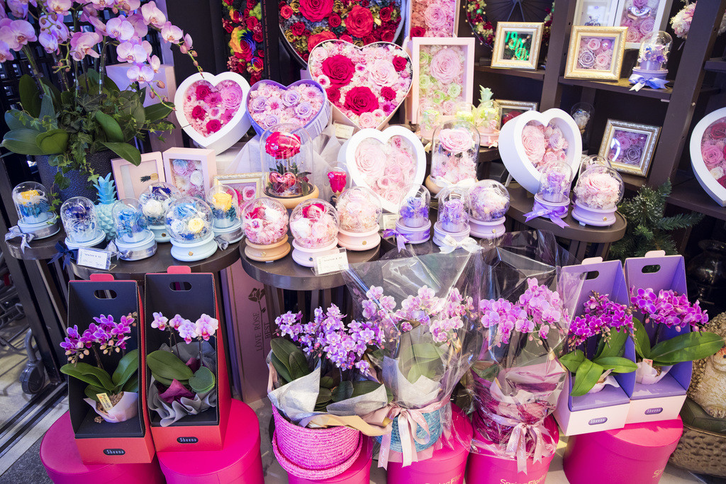 春天鲜花植物情人节花卉背景图片