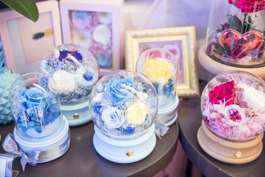 春天鲜花植物情人节花卉背景图片