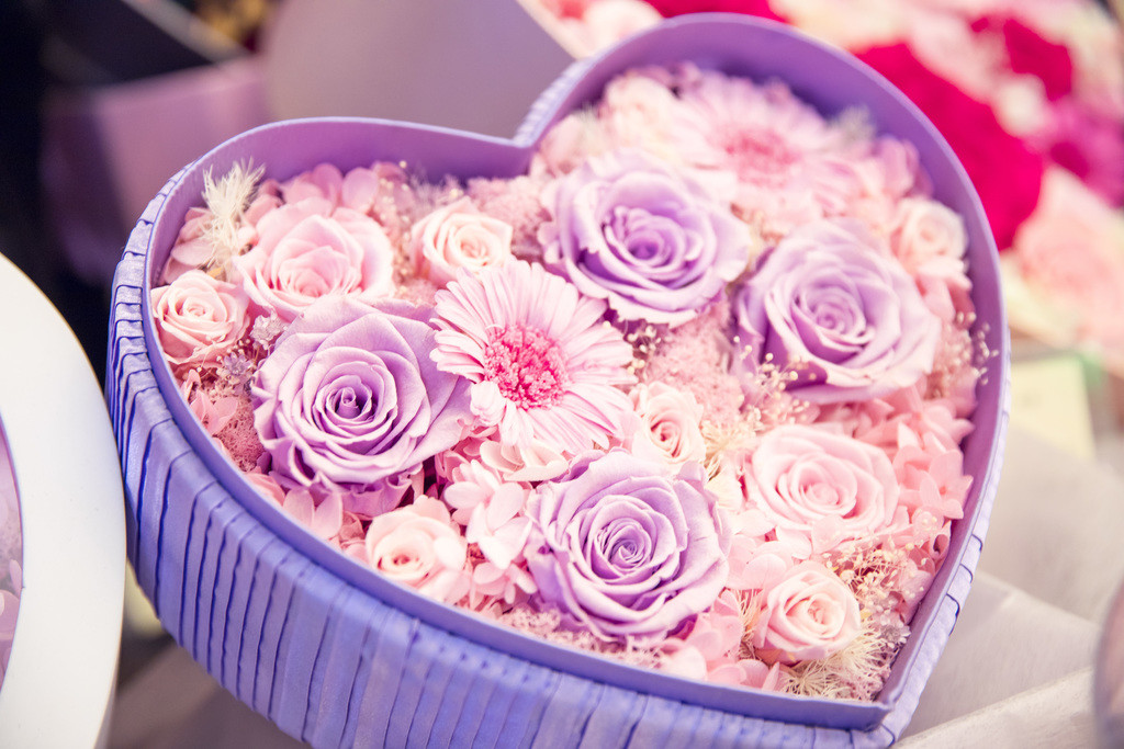 春天鲜花植物情人节花卉背景图片