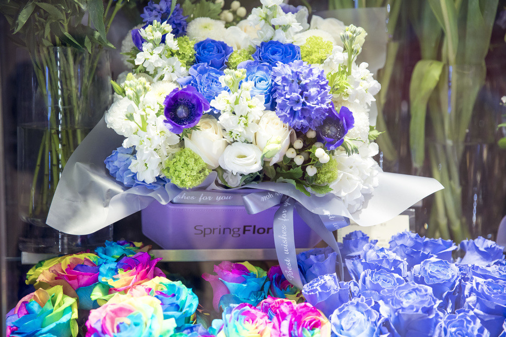 春天鲜花植物情人节花卉背景图片