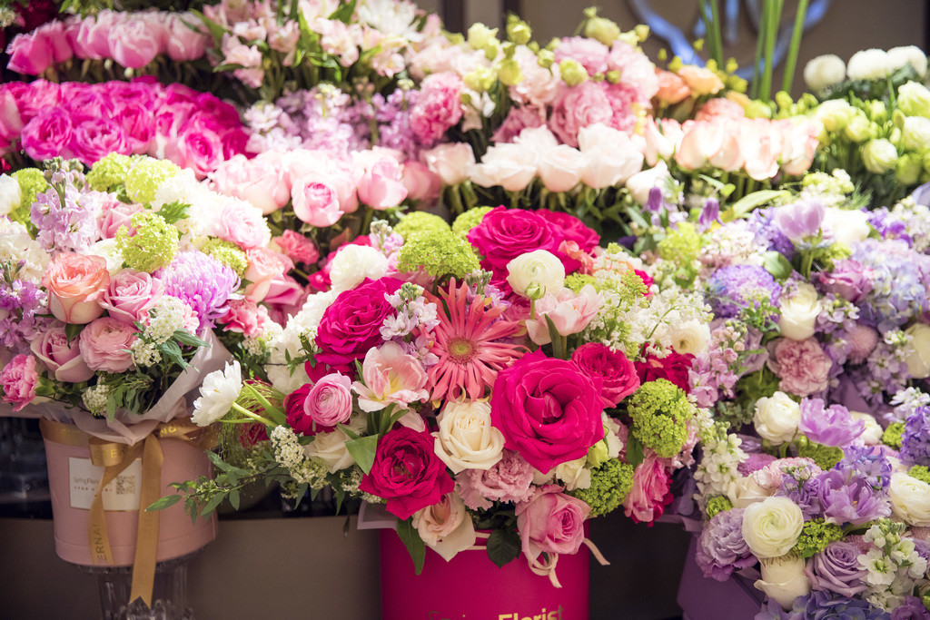 春天鲜花植物情人节花卉图片