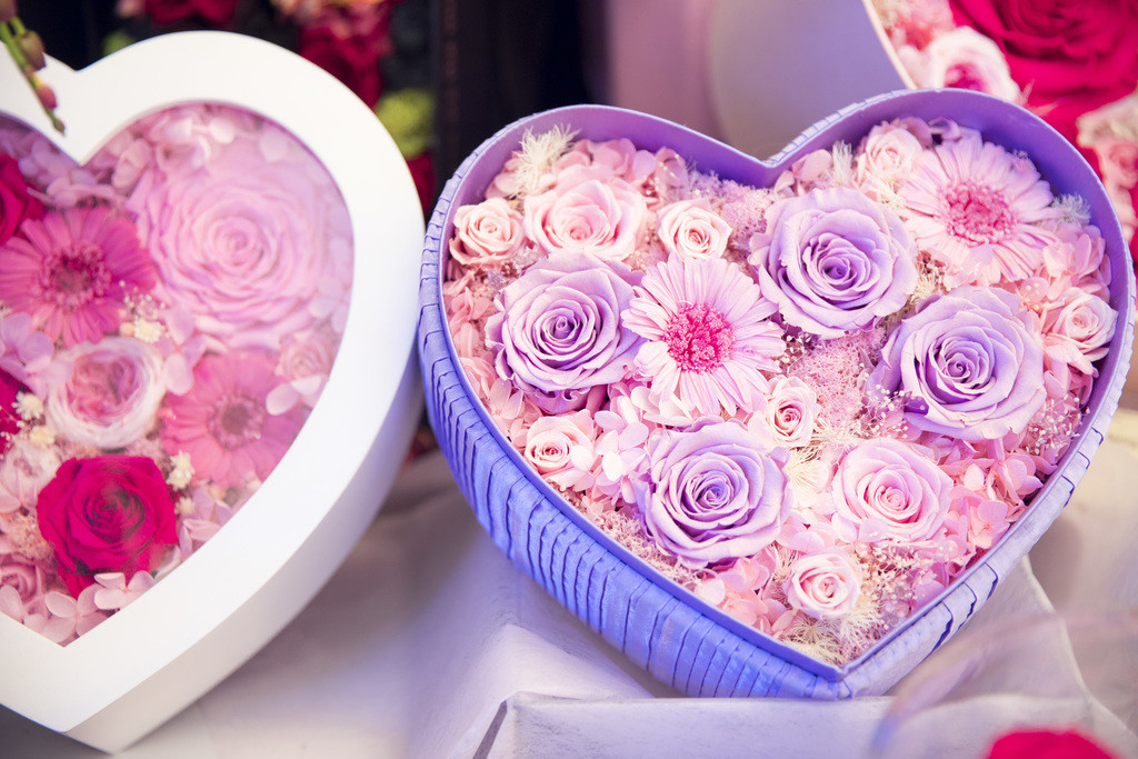 春天鲜花植物情人节花卉背景图片