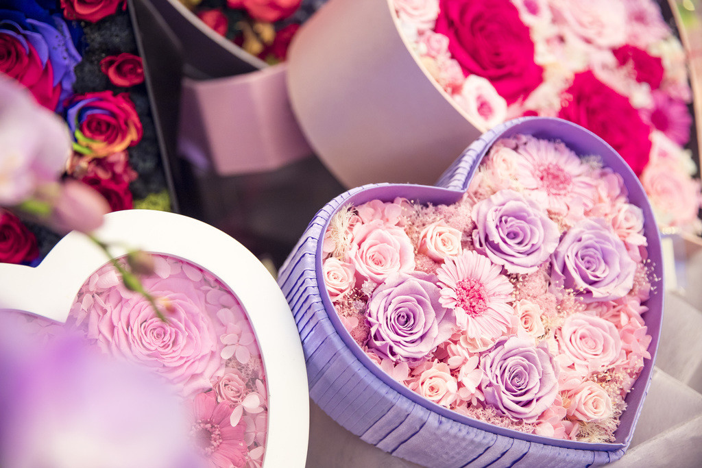 春天鲜花植物情人节花卉背景图片