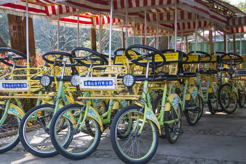 春游踏青自行车背景图片