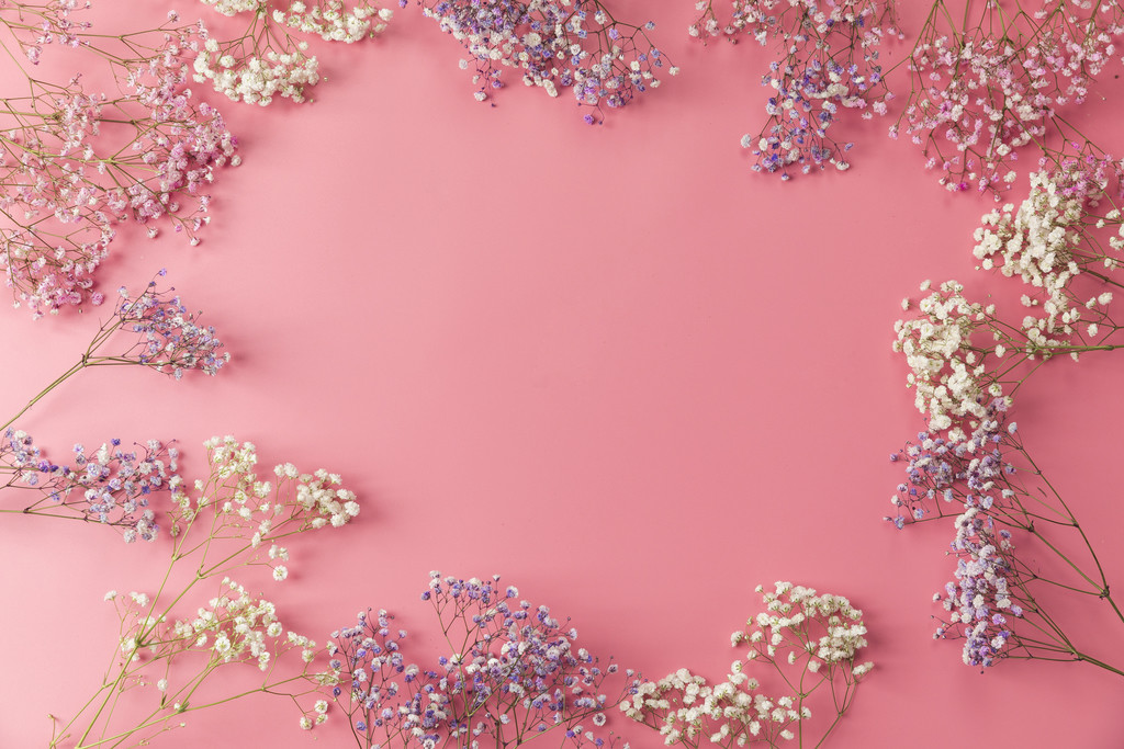 春天花卉满天星背景图片