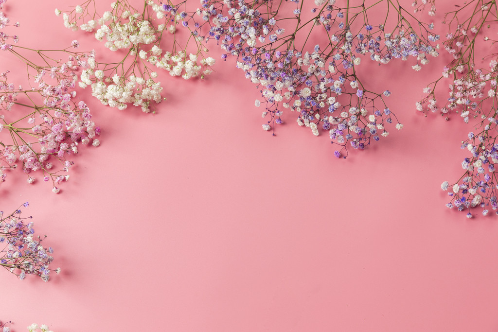 春天花卉满天星背景图片