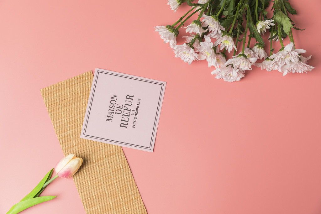 粉色鲜花小雏菊背景图片