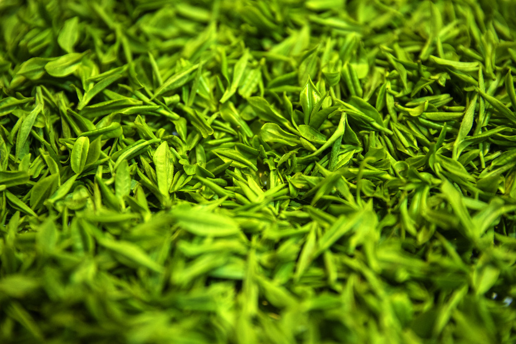 春天清明节茶叶背景图片