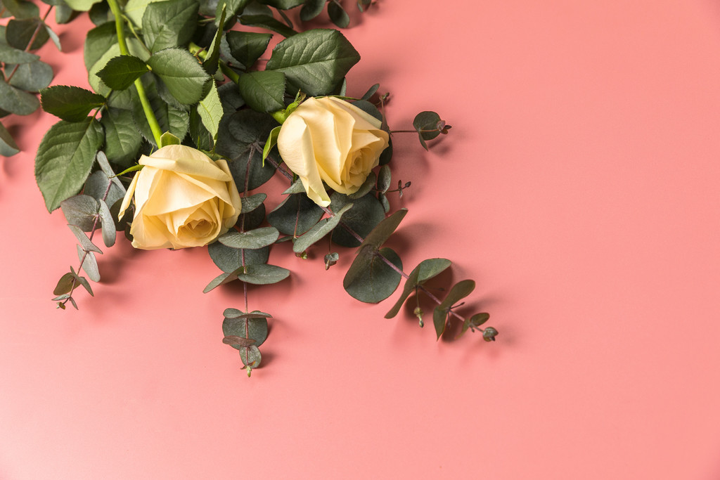 粉色情人节玫瑰花背景图片