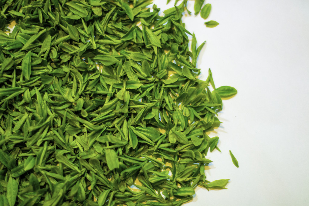 春天清明节茶叶背景图片