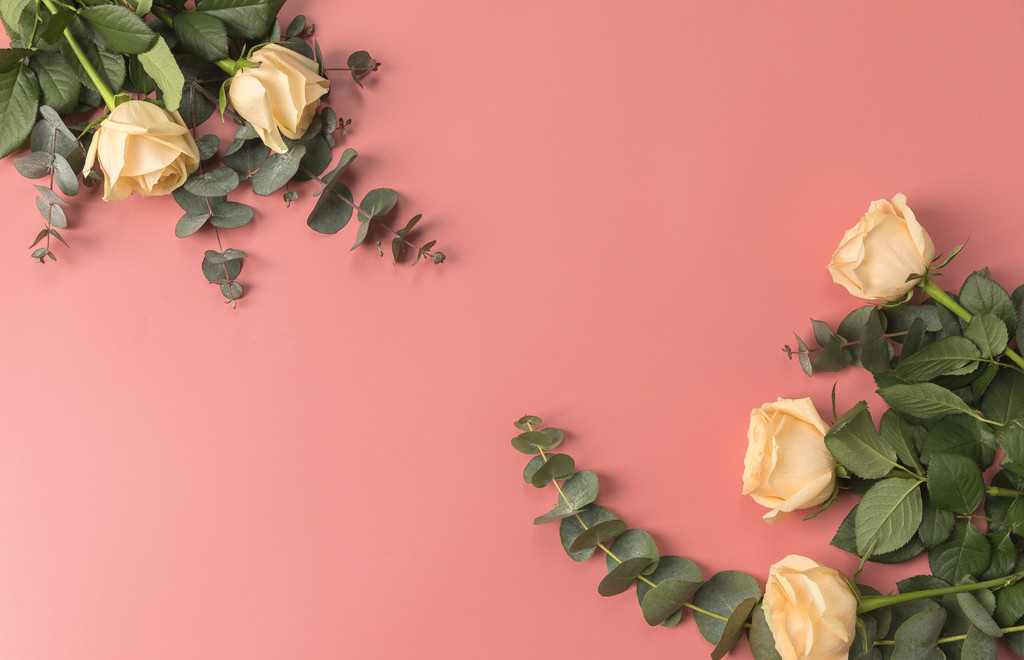 粉色情人节玫瑰花背景图片