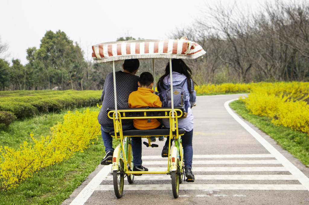 春季春游家庭游玩背景图片