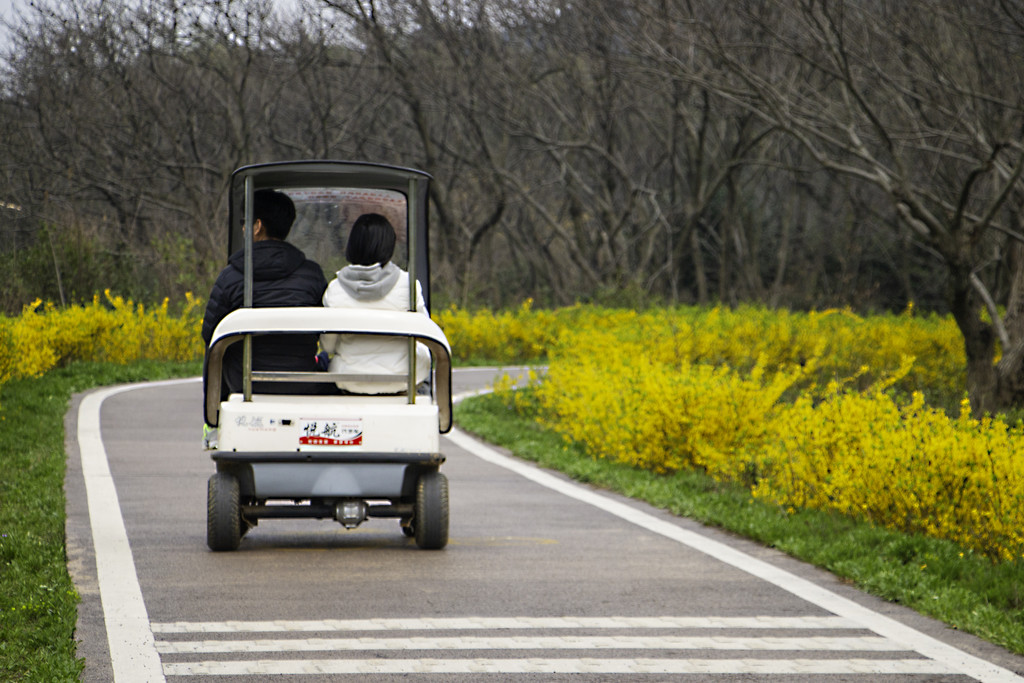 春季春游家庭游玩背景图片