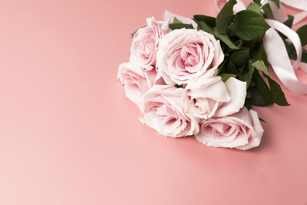 粉色情人节玫瑰花背景图片